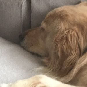 Meet your Posher, Jen